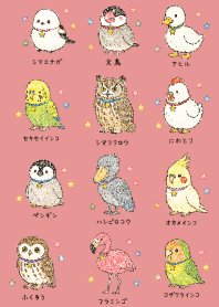 My beloved bird01 light pink JP
