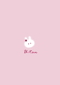 Rabbit pink10_2