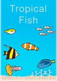 Tropical fish of healing cool summer