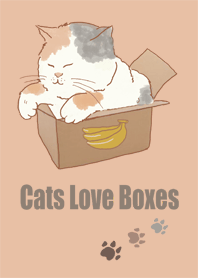 貓咪愛紙箱