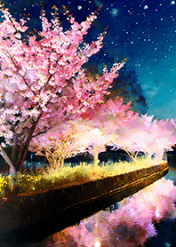 Beautiful night cherry blossoms#1223