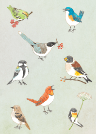 Bird illustration (blue)