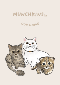 munchkins in our home
