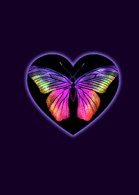 Light Butterfly Purple