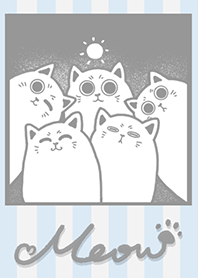 Meow J-gray. gray blue
