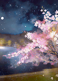Beautiful night cherry blossoms#112