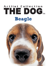 THE DOG ビーグル