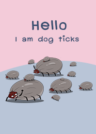 I am dog ticks
