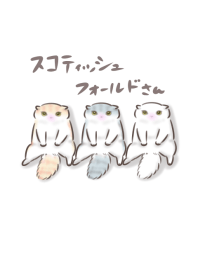 スコティッシュフォールドさん