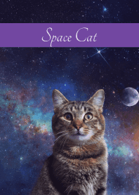 Space Cat2 on purple