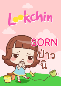 SORN lookchin emotions_S V09 e