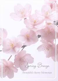 purple Spring Breeze 03_2