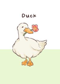 Duck-san Theme