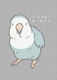 fluffy LoveBird