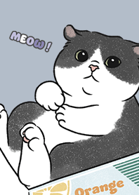 neko single20 / slate blue