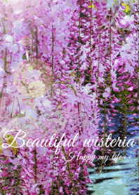 Beautiful wisteria