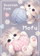 violet Greige Cute Fluffy Scottish Fold