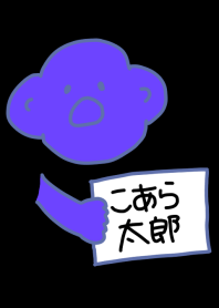 Koara Taro Black x GrayBlue 3