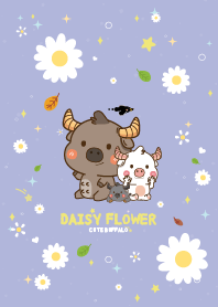 ควายน้อย ดอกเดซี่ เลิฟเว่อร์