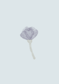 Blue flower of the one point