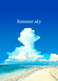 夏空 vol.4