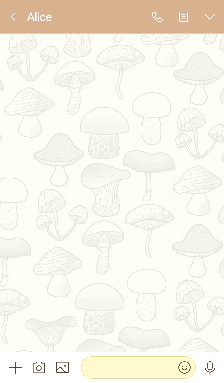 *蘑菇*Mushrooms*
