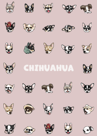 chihuahua2 / mist pink