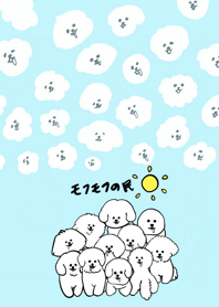 fluffy dogs(bichon frise)1