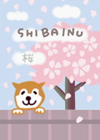 Shiba Inu and Cherry Blossoms 02