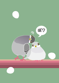 ぽっぽっぽ•••ぽ？