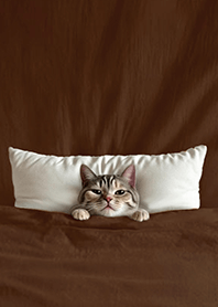 귀여운 퀼트 고양이2.8-사향고양이