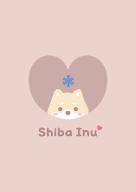 Shiba Inu2 Crystal - PinkOrange