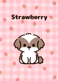 Strawberry dan tema shih tzu kecil.