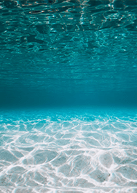 turquoise underwater world