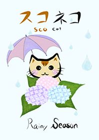 Daily ScoCat Rainy Season Ver