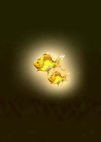 Pink goldfish in the dark night yellow