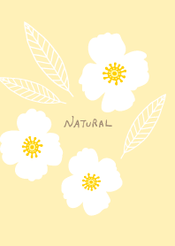 3 flowers and leaves from Japan