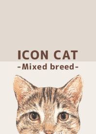 ICON CAT - Mixed breed cat - BROWN/02