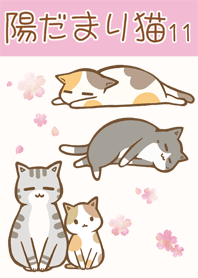 陽だまり猫「桜」　11
