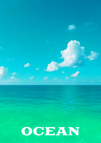 OCEAN THEME 39