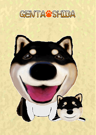 柴犬の「芝げん太」2