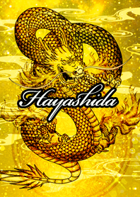 Hayashida Golden Dragon Money luck UP