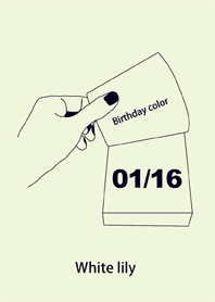 Birthday color January 16 simple: