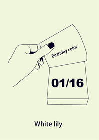 生日顏色 1月16日 簡單