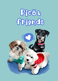 Pico and friends.