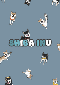shibainu3 - pale denim
