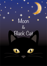 Moon & Black Cat