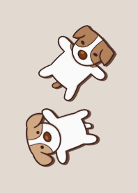 A lot of Jack Russell Terrier