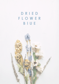 Dried flower_blue