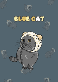 bluecat2 / dark steel blue